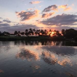 Meet your Posher, Benjamin